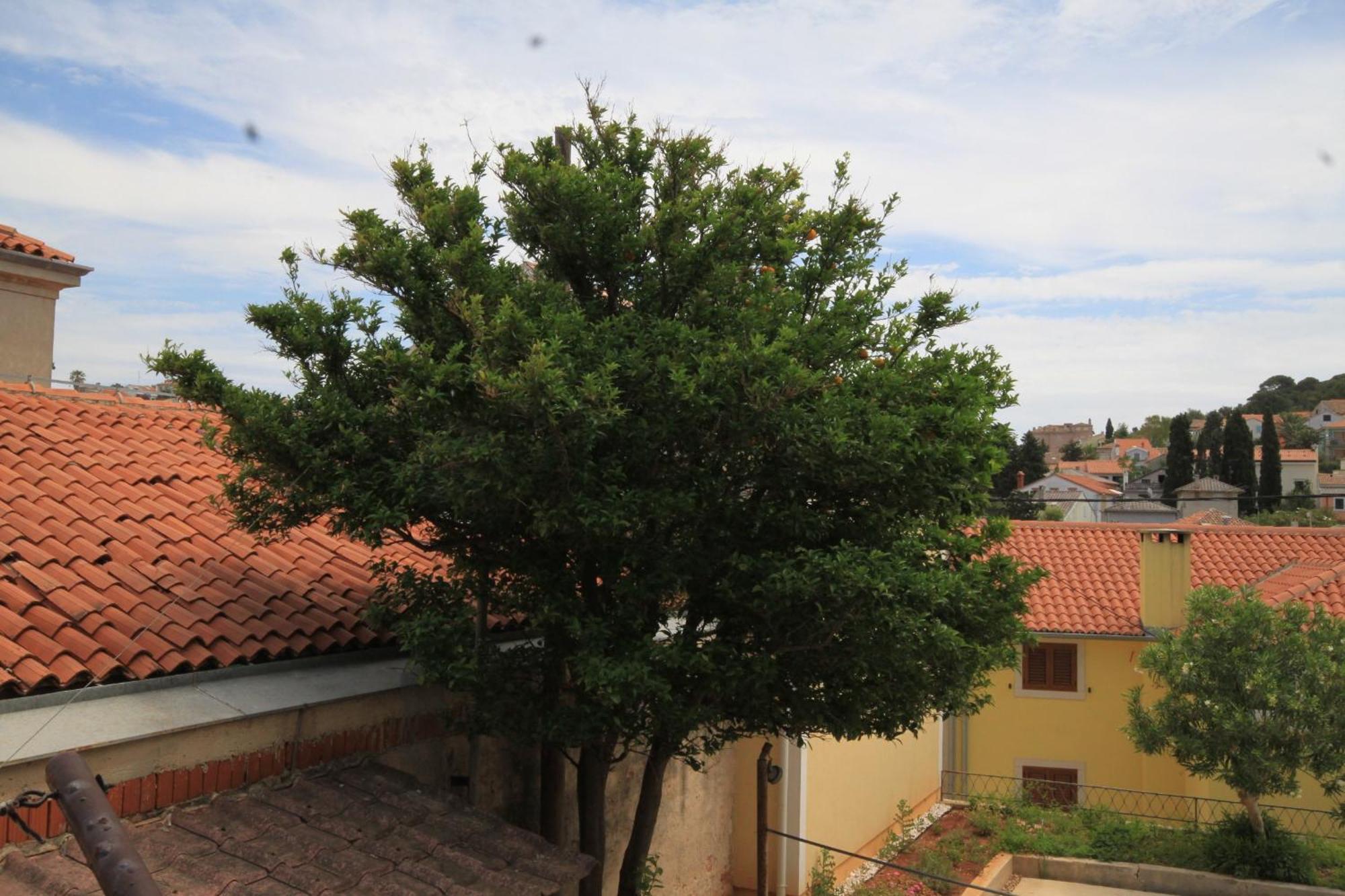 Apartments And Rooms With Parking Space Mali Lošinj Eksteriør billede